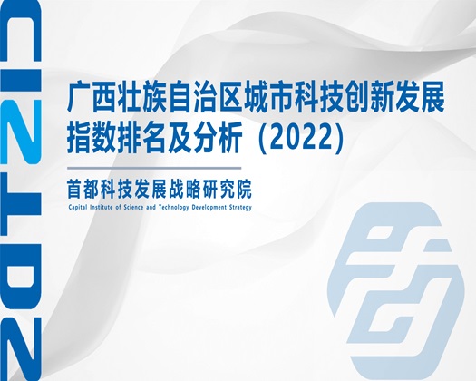 草逼逼鸡巴草逼草草操逼免费网站【成果发布】广西壮族自治区城市科技创新发展指数排名及分析（2022）